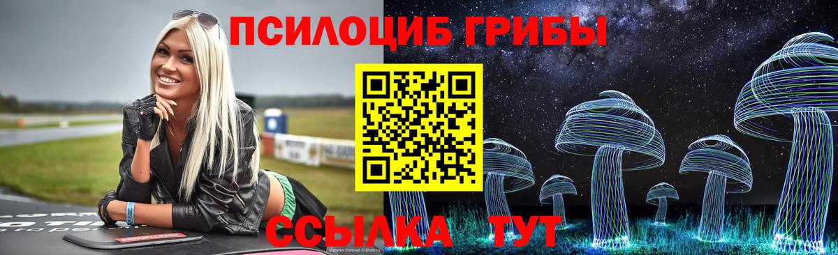 Псилоцибиновые грибы Psilocybine cubensis  Вход с VPN  Братск  Галлюциногенные грибы GOLDEN TEACHER 